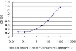 Detection limit for recombinant GST tagged TGIF2 is approximately 0. (TGIF2 抗体  (AA 131-236))