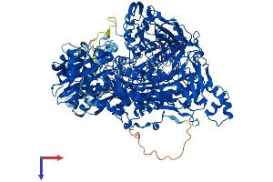 AlphaFold protein structure predicition of Mouse Recombinant Aox3 Protein, UniprotID G3X982 (Aox3 Protein (AA 1-1335) (His tag))