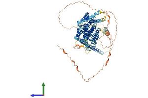 Protein Structure (PS) image for GC-Rich Sequence DNA-Binding Factor 2 (GCFC2) (AA 1-769) protein (His tag) (ABIN7564380)