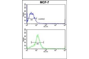 Flow cytometric analysis of MCF-7 cells using HMGA1 / HMGIY Antibody (C-term) CAt. (HMGA1 抗体  (C-Term))