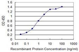 Detection limit for recombinant GST tagged ACOX2 is 0. (Acox2 抗体  (AA 582-681))