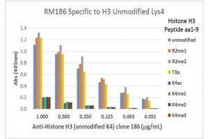 This recombinant Histone H3 antibody specifically recognizes Histone H3 unmodified at Lys4 and does not recognize acetylated, monomethylated, dimethylated, or trimethylated Lys4. (Recombinant Histone 3 抗体  (Lys4, N-Term))