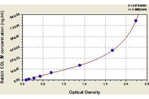 ELISA image for Collagen, Type IV (COL4) ELISA Kit (ABIN6974441)