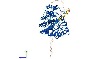 Protein Structure (PS) image for Potassium Voltage-Gated Channel, Shaker-Related Subfamily, beta Member 1 (KCNAB1) (AA 1-419) protein (His tag) (ABIN7554339)