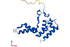 Protein Structure (PS) image for Polymerase (RNA) II (DNA Directed) Polypeptide D (POLR2D) (AA 1-142) protein (His tag) (ABIN7561090)