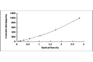 Typical standard curve (IFNB1 ELISA 试剂盒)