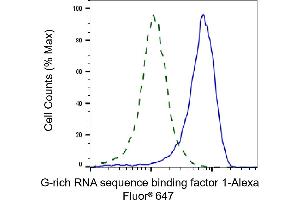 Validation of G-rich RNA sequence binding factor 1 knockdown using flow cytometry. (Recombinant GRSF1 抗体)