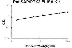 Rat SAP/PTX2 PicoKine ELISA Kit standard curve (APCS ELISA 试剂盒)