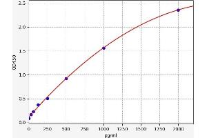 Typical standard curve (ZBTB3 ELISA 试剂盒)