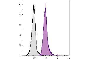 Human peripheral blood granulocytes were stained with Mouse Anti-Human CD33-PE/CY5. (CD33 抗体  (PE))