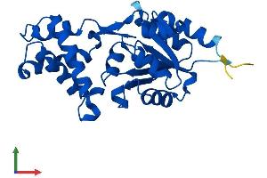 Protein Structure (PS) image for Haloacid Dehalogenase-Like Hydrolase Domain Containing 3 (HDHD3) (AA 1-251) protein (His tag) (ABIN7560762)