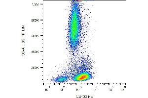 Flow cytometry analysis (surface staining) of human peripheral blood with anti-CD132 (TUGh4) PE. (IL2RG 抗体  (PE))