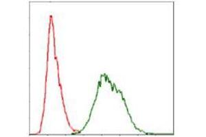 Flow cytometric analysis of Hela cells using UBB mouse mAb (green) and negative control (red).