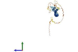 AlphaFold protein structure predicition of Human Recombinant BLZF1 Protein, UniprotID Q9H2G9