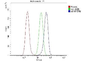 Flow Cytometry analysis of A549 cells using anti-Androgen Receptor/AR antibody (ABIN7602200). (Androgen Receptor 抗体  (AA 629-920))