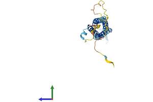 Protein Structure (PS) image for Synaptogyrin 2 (SYNGR2) (AA 1-224) protein (His tag) (ABIN7546327)