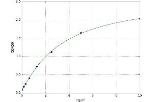 A typical standard curve (CST3 ELISA 试剂盒)