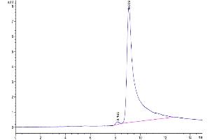 Size-exclusion chromatography-High Pressure Liquid Chromatography (SEC-HPLC) image for Transthyretin (TTR) (AA 21-147) protein (His tag) (ABIN7275810)