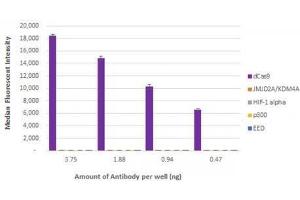 Cas9 antibody (rAb) tested by bead-based specificity analysis. (Recombinant CRISPR-Cas9 抗体)