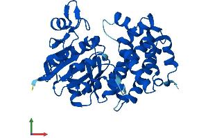 Protein Structure (PS) image for Glycerol-3-Phosphate Dehydrogenase 1 (Soluble) (GPD1) (AA 1-349) protein (His tag) (ABIN7562862)
