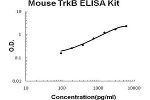 Mouse TrkB PicoKine ELISA Kit standard curve (TRKB ELISA 试剂盒)