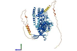 Protein Structure (PS) image for Transient Receptor Potential Cation Channel, Subfamily V, Member 6 (TRPV6) (AA 1-765) protein (His tag) (ABIN7555832)