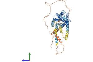 Protein Structure (PS) image for Prostaglandin E Receptor 4 (Subtype EP4) (PTGER4) (AA 1-513) protein (His tag) (ABIN7563131)