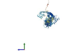 Protein Structure (PS) image for Actinin, alpha 2 (ACTN2) (AA 1-894) protein (His tag) (ABIN7561538)