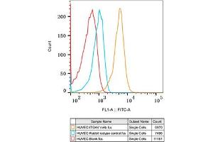 Flow cytometry: HUVEC cells were stained with Rabbit IgG isotype control (, 2.