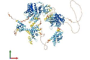Protein Structure (PS) image for Mitogen-Activated Protein Kinase Kinase Kinase 6 (MAP3K6) (AA 1-1291) protein (His tag) (ABIN7565206)