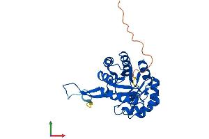 Protein Structure (PS) image for CutC Copper Transporter Homolog (CUTC) (AA 1-272) protein (His tag) (ABIN7561140)