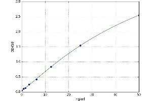 A typical standard curve (CAMKK2 ELISA 试剂盒)