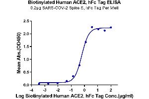 ELISA image for Angiotensin I Converting Enzyme 2 (ACE2) (AA 18-740) protein (Fc-Avi Tag,Biotin) (ABIN7273795)