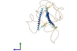 Protein Structure (PS) image for Nucleoporin Like 1 (NUPL1) (AA 1-599) protein (His tag) (ABIN7550277)