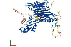 Protein Structure (PS) image for Protein Phosphatase 1J (PPM1J) (AA 1-507) protein (His tag) (ABIN7556974)