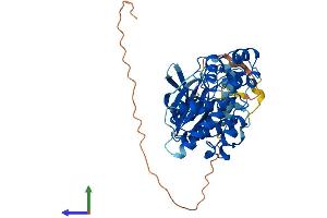 AlphaFold protein structure predicition of Mouse Recombinant Mapk9 Protein, UniprotID Q9WTU6