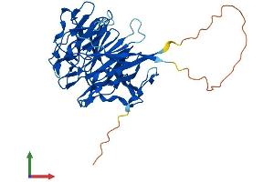 Protein Structure (PS) image for Rab9 Effector Protein with Kelch Motifs (RABEPK) (AA 1-380) protein (His tag) (ABIN7559818)