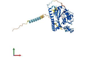 Protein Structure (PS) image for UDP-GlcNAc:betaGal beta-1,3-N-Acetylglucosaminyltransferase 6 (Core 3 Synthase) (B3GNT6) (AA 1-391) protein (His tag) (ABIN7557274)
