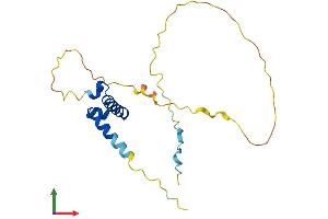 Protein Structure (PS) image for Synovial Sarcoma, X Breakpoint 1 (SSX1) (AA 1-188) protein (His tag) (ABIN7546361)