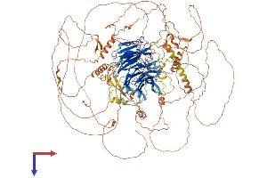 AMBRA1 Protein (AA 1-1298) (His tag)