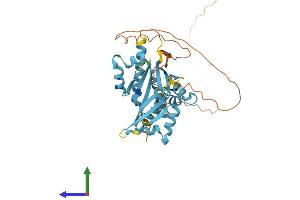 Protein Structure (PS) image for Poly(rC) Binding Protein 3 (PCBP3) (AA 1-371) protein (His tag) (ABIN7550556)
