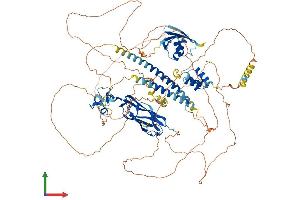 Protein Structure (PS) image for Neighbor of BRCA1 Gene 1 (NBR1) (AA 1-966) protein (His tag) (ABIN7554691)
