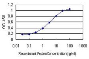 Detection limit for recombinant GST tagged ARHGAP6 is approximately 0. (ARHGAP6 抗体  (AA 531-636))