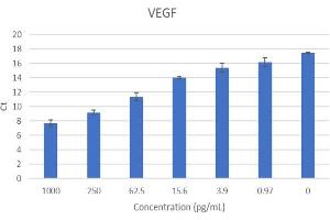 ELISA image for Vascular Endothelial Growth Factor (VEGF) IQ-ELISA Kit (ABIN5680039) (VEGF IQ-ELISA 试剂盒)