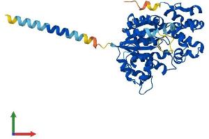 Protein Structure (PS) image for Carbohydrate (N-Acetylglucosamine 6-O) Sulfotransferase 4 (CHST4) (AA 1-388) protein (His tag) (ABIN7565187)