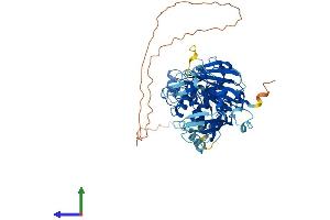 Protein Structure (PS) image for Ubiquitin Specific Peptidase 39 (USP39) (AA 1-565) protein (His tag) (ABIN7546217)