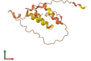 AlphaFold protein structure predicition of Human Recombinant CLUHP3 Protein, UniprotID Q96NS8
