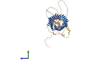 Protein Structure (PS) image for G-Protein Signaling Modulator 2 (GPSM2) (AA 1-679) protein (His tag) (ABIN7564750)