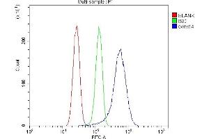 Flow Cytometry analysis of U87 cells using anti-GRB14 antibody (ABIN7599149). (GRB14 抗体  (AA 1-246))
