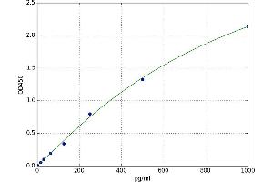 Endothelin 2 (EDN2) ELISA Kit